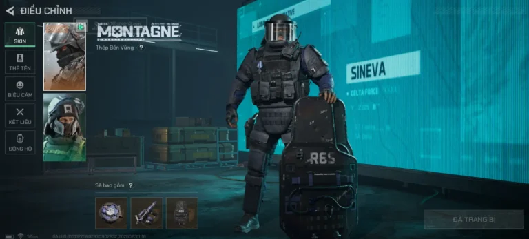 skin-sineva-r6-6